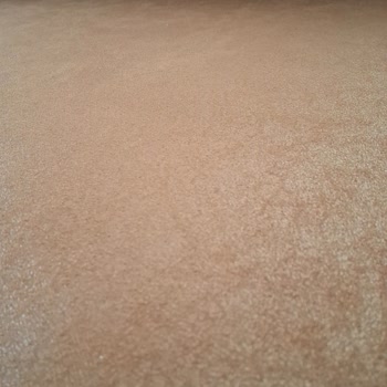 Bellona Çözüm Bulunsun Lütfen