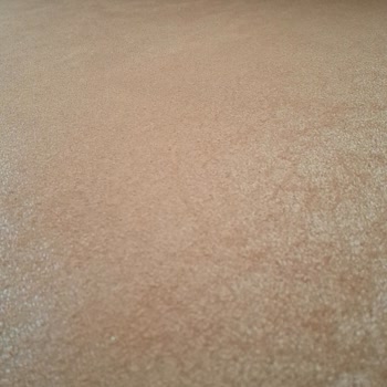 Bellona Çözüm Bulunsun Lütfen