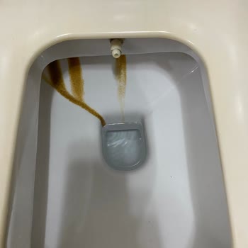 BTK (Bilgi Teknolojileri ve İletişim Kurumu) Majeste Otel Bodrum Şikayet