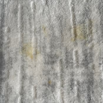 Tomurcuk Halı Yıkama (Erzurum) Tomurcuk Halı Yıkama Halıyı Lekesiyle Getirdi