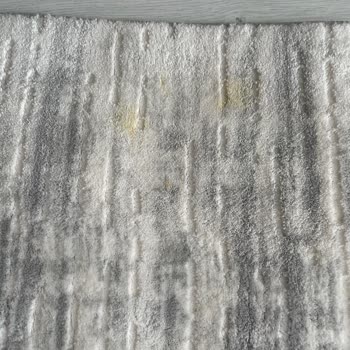 Tomurcuk Halı Yıkama (Erzurum) Tomurcuk Halı Yıkama Halıyı Lekesiyle Getirdi