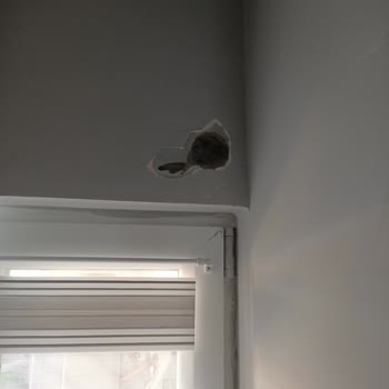 LG Klima Servisi Evimi Maf Etti