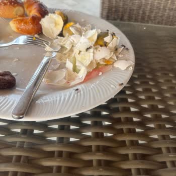 Wyndham Datça Perili Bay Ana Restoranda Kara Sinek Sorunu