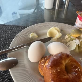 Wyndham Datça Perili Bay Ana Restoranda Kara Sinek Sorunu