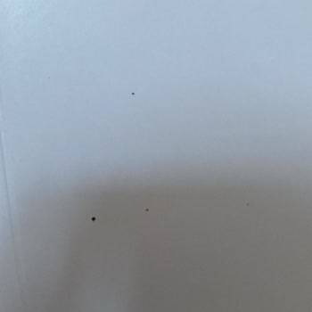 Meldoor Firmasından Kaliteli Ürün!