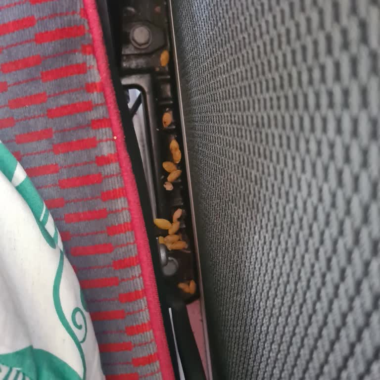 Kale Otobüs Firmasi Şikayeti