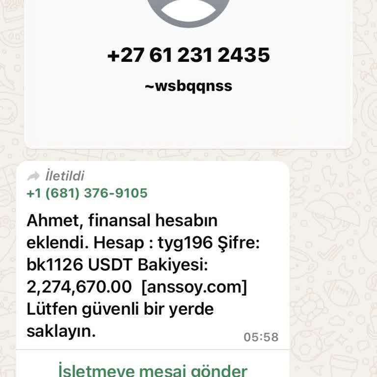 WhatsApp Rahatsız Edici Hesap Bilgisi Hakkında