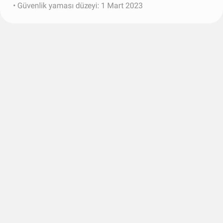 Telefon Samsung A10s Güncelleme Almıyor