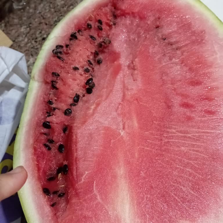 Getirin Saçma Prosedürü