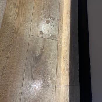 Beltur Büyükada Tesisinde Yaşadığımız Disiplinsizlik Ve Mağduriyetler.