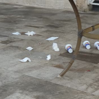 Garden Of Sun Otel Reklamasyon Garden Of