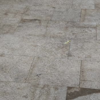 Garden Of Sun Otel Reklamasyon Garden Of