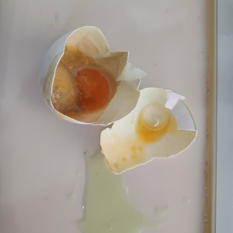 A101den Aldığım Yumurtalar Bozuk Çıktı