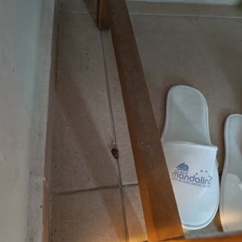 Yelken Mandalinci Spa & Wellness Hotel Memnuniyetsizliği