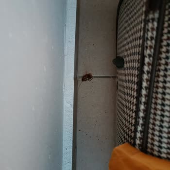 Yelken Mandalinci Spa & Wellness Hotel Memnuniyetsizliği