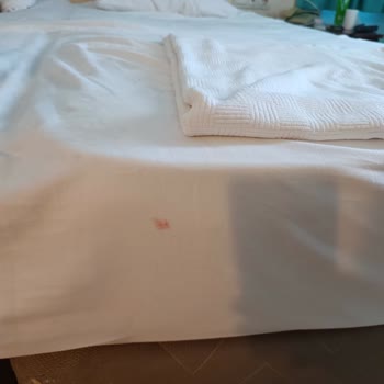 Yelken Mandalinci Spa & Wellness Hotel Memnuniyetsizliği