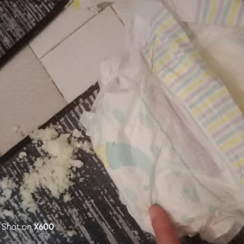 Jenny & Willy İçindeki Pamuklar Dökülüyor