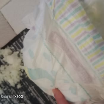 Jenny & Willy İçindeki Pamuklar Dökülüyor