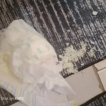 Jenny & Willy İçindeki Pamuklar Dökülüyor