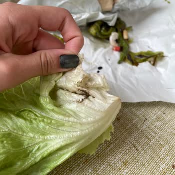 Konya Sefası 'nda Paramla Rezil Olmak