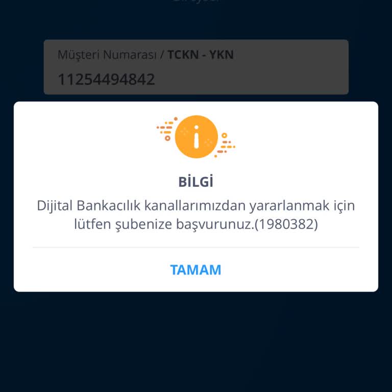 İş Bankası Giriş Yapamıyorum Hata
