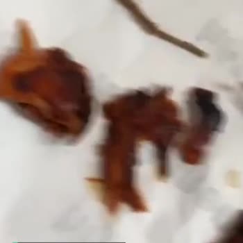 Hot Döner'den Dal Parçası Çıktı