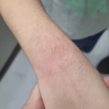 Koçtaş'ta Bulunan Kedi