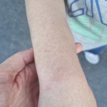 Koçtaş'ta Bulunan Kedi