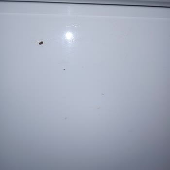 Vestel Derin Dondurucu Paslanması Küflenmesi Ve Kabarma Sorunu