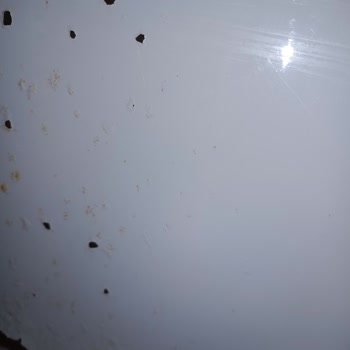 Vestel Derin Dondurucu Paslanması Küflenmesi Ve Kabarma Sorunu