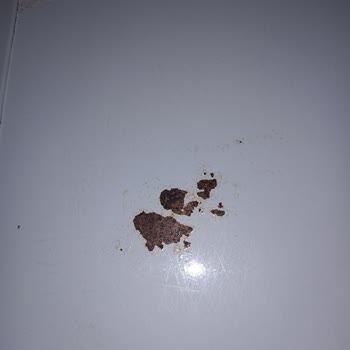 Vestel Derin Dondurucu Paslanması Küflenmesi Ve Kabarma Sorunu