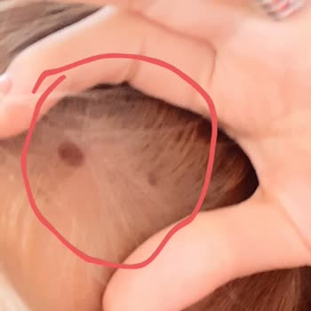 Palette 10.1 Saç Boyası Gratis