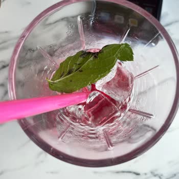 Alaçatı Muhallebicisi Alaçatı'da Bardağımdan Çürümüş Nane Ve Kıl Çıktı