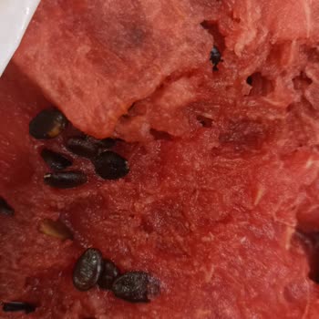 A101 Çürük Karpuz Satılması