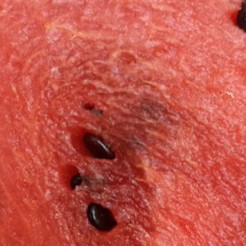 A101 Çürük Karpuz Satılması