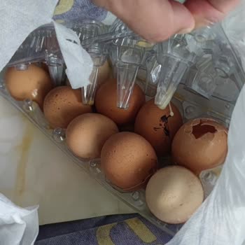 Getir Sorun Çözümsüzlüğü Ve İlgisizliği