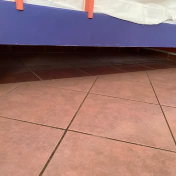 Grand Bahama Beach Otel Yaşadığımız En Kötü Otel Deneyimi