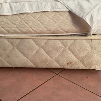 Grand Bahama Beach Otel Yaşadığımız En Kötü Otel Deneyimi