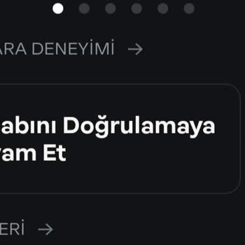 Papara Onaylı Hesabın Onaylanmamış Gibi Gözükmesi