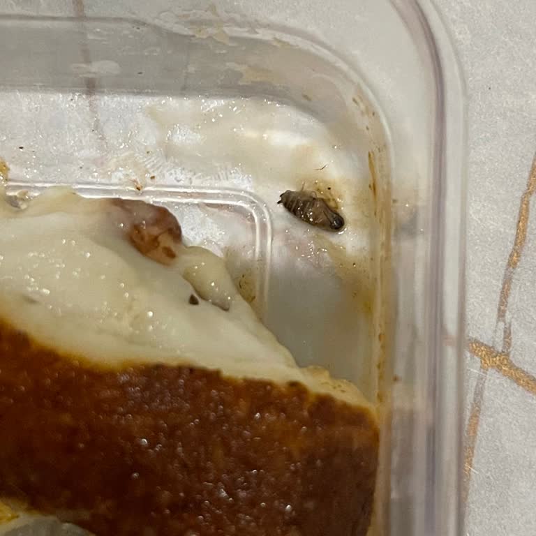 Faruk Güllüoğlu Tatlımın İçinden Sinek Çıktı