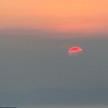 Şeytan Sofrası Giriş Ücreti Ve Personel Üslubu Sorunu