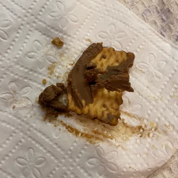 Elvan Gıda Şirketi/ Fiorella Marka Bisküvi/ İçinden Kıllar Çıktı