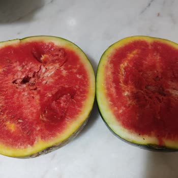 Ada Gross Aldığımız Ürünler Bozuk