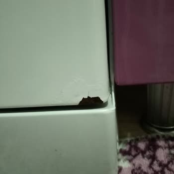 Altus Bulaşık Makinesi Çabuk Paslanıyor