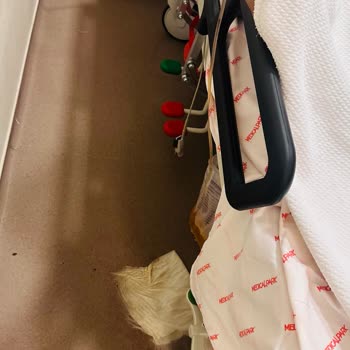 Medical Park Hastanesi Ölüme Terk Etmek