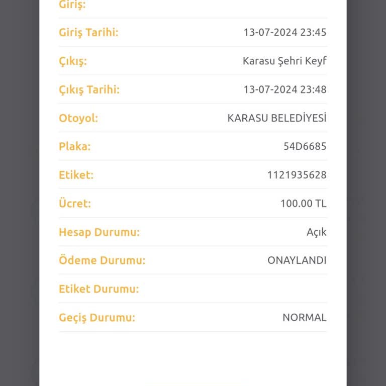 Karasu Belediyesi Yol Kenarı Park Ücreti