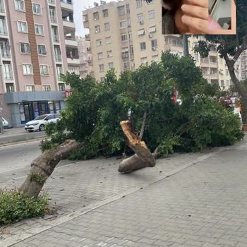 Milli Eğitim Bakanlığı (MEB) Direksiyon Sınavının İptali