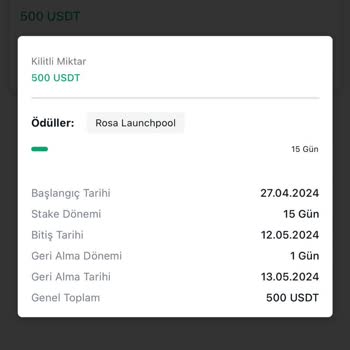 Bitci Borsa Rosa Launchpool Mağduriyeti