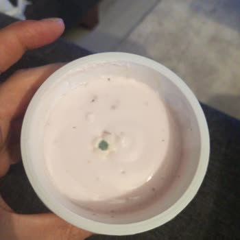 Sek Quark Yoğurt Küflü Çıktı