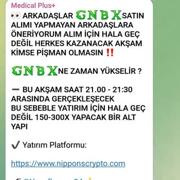 Nippon Crypto Telegram Sayfasında Yaşanan Sorunlar